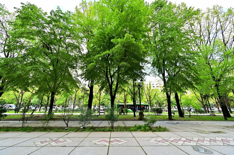 Unirii nr. 8, Fantani, Centrul Civic, Mitropolie, Palatul Parlamentului